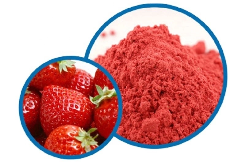 Fd Freeze Dried Fruit Powder, Vegetable Powder Supplier